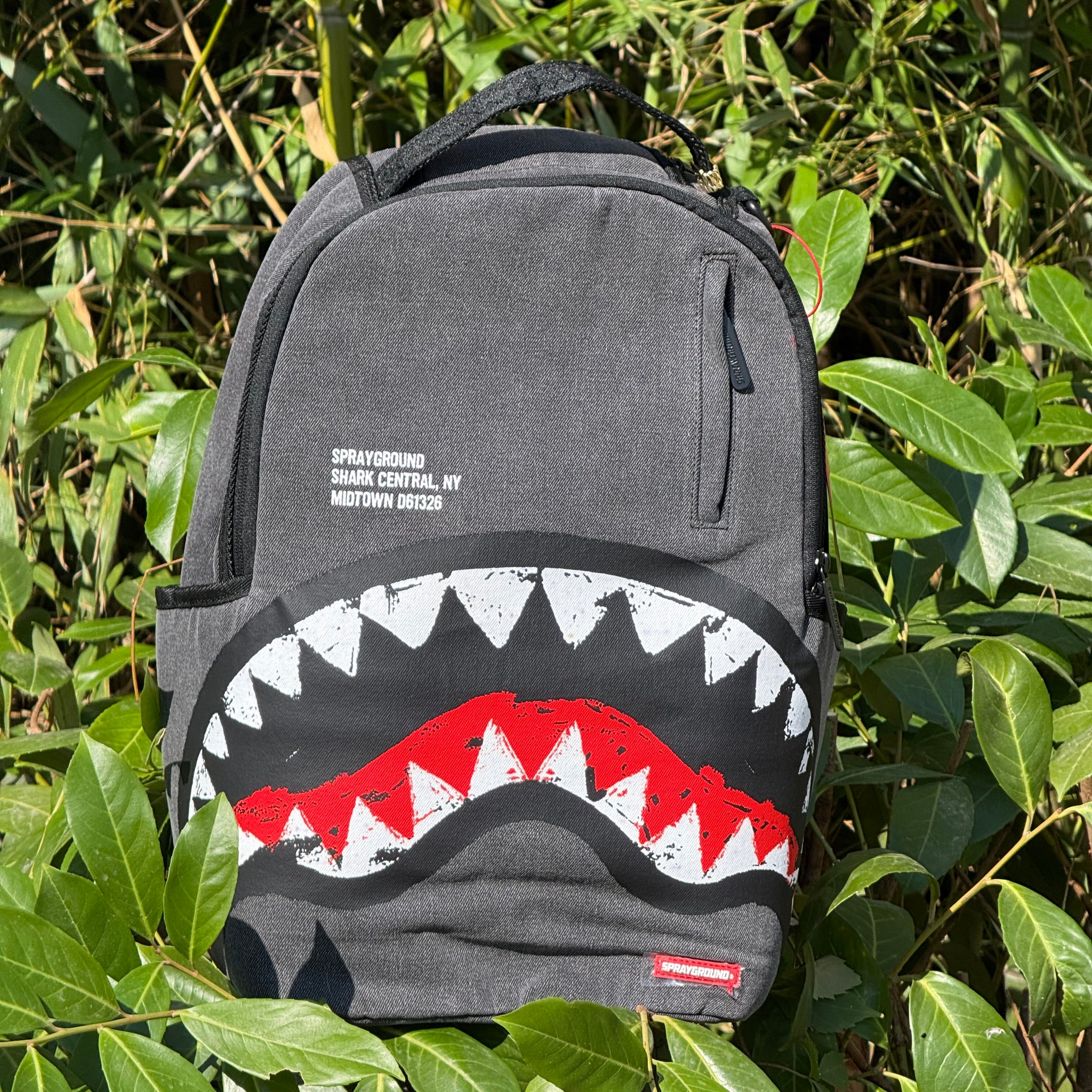 shark central painted dlxs backpack 910b7165nsz